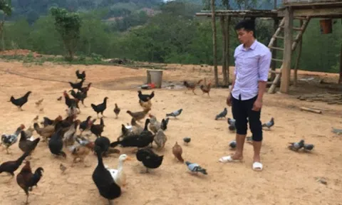 Tan mộng nghề báo, anh Tủi lủi về quê nuôi gà, lãi 10 triệu/tháng