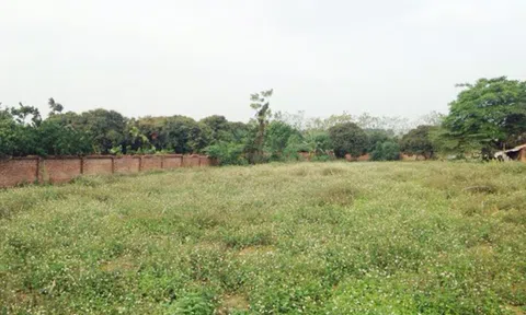 Bỏ 1 tỷ mua đất Hà Nội: Sau 10 năm mất hết vốn lại còn mang nợ