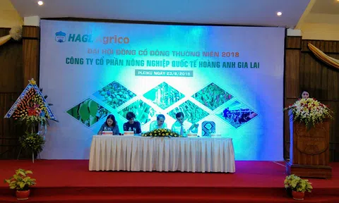 [Live] Bầu Đức: Chuối chắc chắn là cây chiến lược lâu dài cho HAGL Agrico