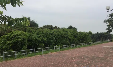 Môi giới ‘đóng góp’ đẩy giá đất nền cao hơn giá trị thật