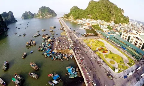 Dự án tuyến đường 1.480 tỷ đồng đổi 7.000ha đất của Vingroup chính thức được phê duyệt