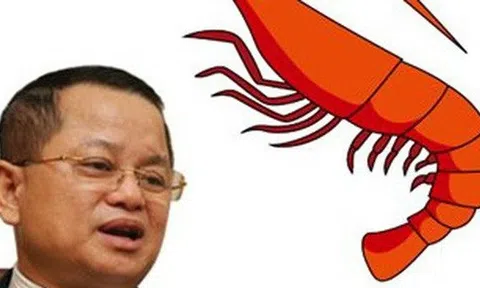 Áp dụng công nghệ này 1 người có thể quản lý 50 ao tôm, 70% nhân viên của "vua" tôm Minh Phú sẽ mất việc?