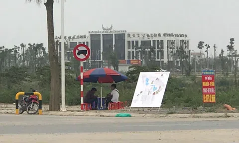 Ba tháng “bò lê” vỉa hè, thỏa giấc mơ thu nhập 100 triệu/tháng