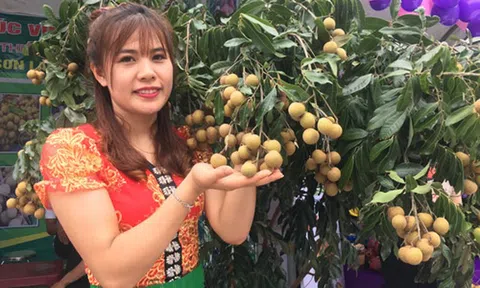 Sơn La: Nhiều hộ nông dân đổi đời nhờ 'bà đỡ' mát tay