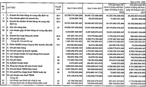 Vingroup đầu tư hơn 7.400 tỷ vào VinFast, hơn 70% doanh thu vẫn từ bán bất động sản