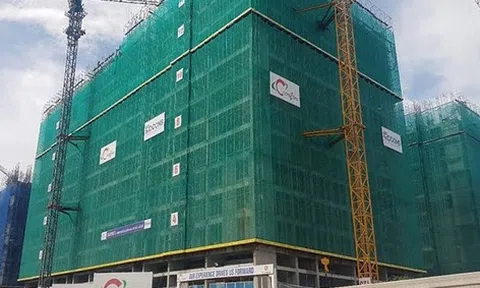 Tăng vốn lên gấp đôi, Ricons cũng báo lãi quý 2 tăng 65%