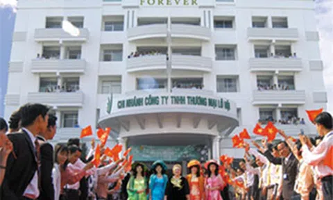 Công ty Lô Hội nợ thuế hơn 100 tỷ đồng