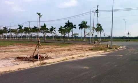 Nguồn cung đất nền phía Bắc Sài Gòn bất ngờ tăng vọt