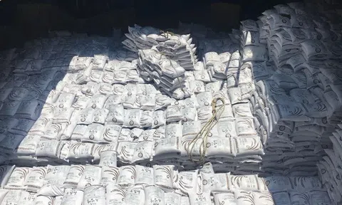 Vượt Thái Lan, Việt Nam trúng thầu 60.000 tấn gạo xuất đi Hàn Quốc