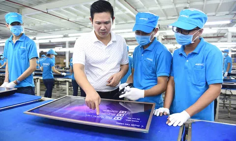 CEO Phạm Văn Tam: 'Chúng tôi IPO để xuất khẩu sang châu Á'