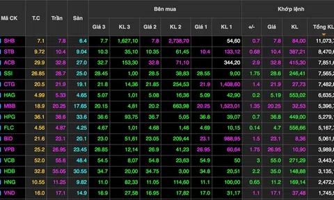 Loạt nữ tướng “phục hận”, chứng khoán “đòi lại” hơn 57.000 tỷ đồng