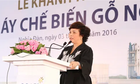 Tham vọng nửa tỷ đô của bà Thái Hương trong ngành gỗ