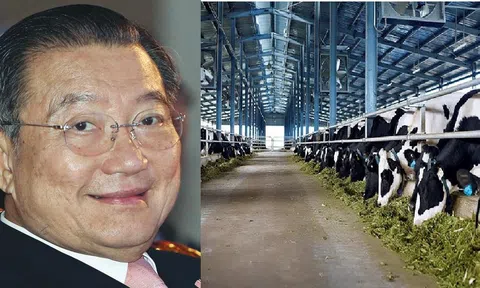 Đại gia Hong Kong nhòm ngó ‘hoa hậu’ Việt, tỷ phú Thái đeo bám không buông