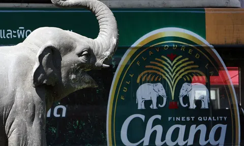 Sabeco tác động ra sao đến kết quả kinh doanh của ThaiBev sau hợp nhất?