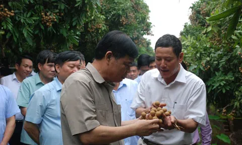 Hưng Yên: Từ Chủ tịch tỉnh trở xuống phải đi... bán nhãn