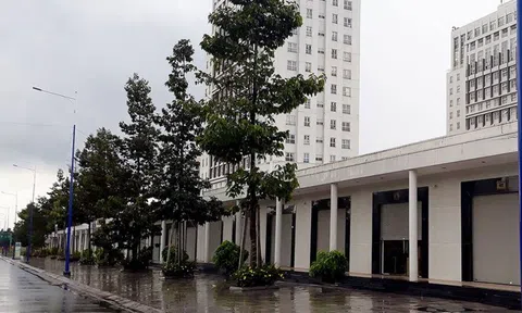 Thành phố mới Bình Dương 'thất thủ'