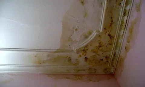 Có 2 tỷ vợ chồng trẻ vẫn bế tắc: Cấm xây nhà mới, không được ở chung cư