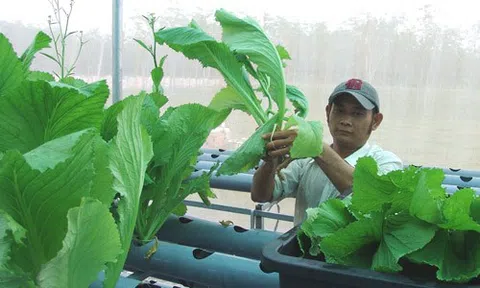 Chật vật trên đường khởi nghiệp nông nghiệp chỉ vì... giấy tờ