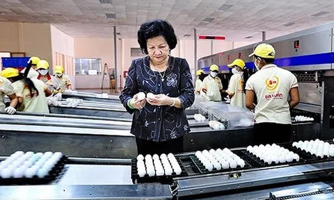 VinaCapital: Từ vụ Ba Huân, nhìn lại sự 'đắng ngắt' của ông chủ BV Hoàn Mỹ