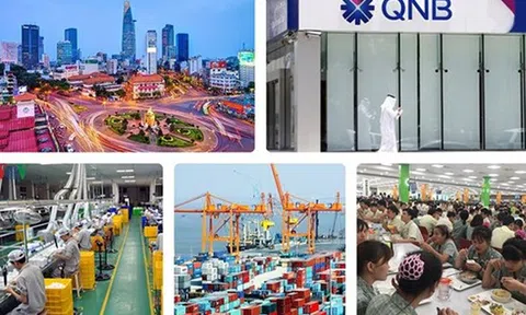Ngân hàng TW Qatar: Việt Nam là 'con hổ' kinh tế mới nhất của châu Á