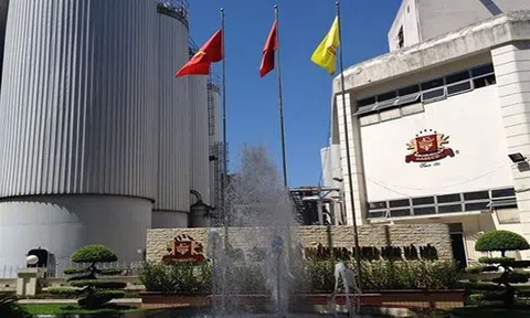 Habeco 'quên' số liệu nộp thuế gần 500 tỷ đồng