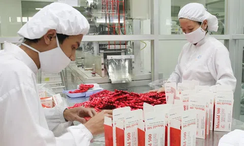 Nhìn lại các thương vụ M&A ngành dược Việt Nam