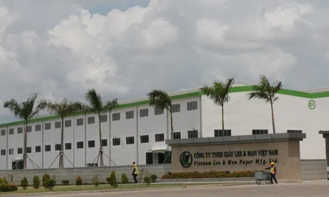 Hiệp hội Giấy: DN Trung Quốc mang hàng sạch về nước, rác bẩn để lại Việt Nam