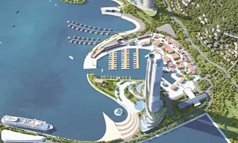 Giải mã bí ẩn ông chủ tòa tháp chọc trời 88 tầng tại Vân Đồn