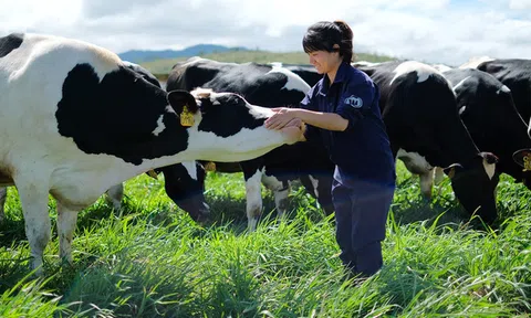 Thị trường sữa đã bão hòa, Vinamilk còn đất nào để tăng trưởng?