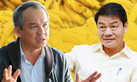 Đầu tư 1 tỷ USD vào HAGL, Thaco muốn gì?