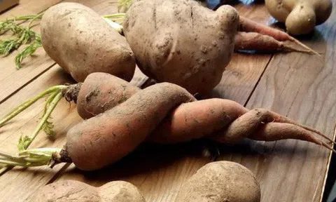 Bạn biết không: Dân Châu Âu thẳng tay vứt bỏ 50 triệu tấn rau củ quả mỗi năm chỉ vì trông chúng xấu mã