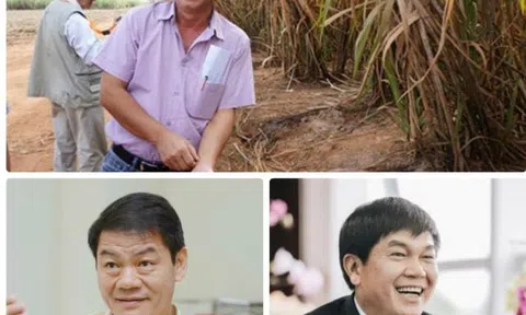 Khi các tỷ phú Việt đua nhau làm 'nông dân'