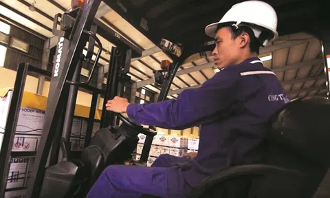 Halico vẫn "say" trong thua lỗ