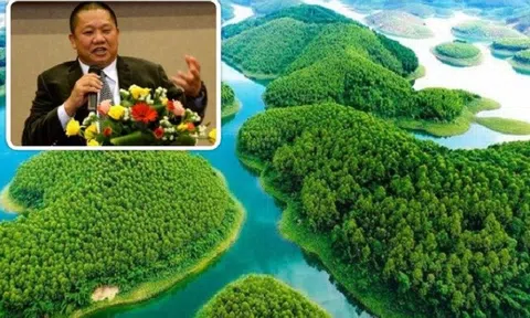 Dự án nghỉ dưỡng nghìn tỷ của đại gia Lê Phước Vũ phải ngừng triển khai