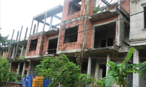 Vì sao khu biệt thự hạng sang bậc nhất Sài Gòn bỏ hoang phí nhiều năm?