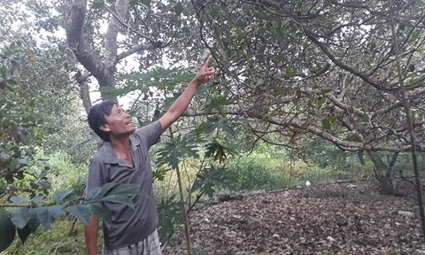 Dân Đồng Nai sống khổ trong dự án 16 tỷ USD