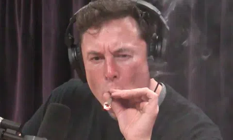 CEO Elon Musk hút cần sa trên truyền hình, cổ phiếu Tesla “chìm nghỉm”