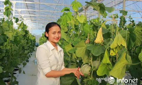 Người đàn bà xinh đẹp trồng rau công nghệ Isarel thu tiền tỉ mỗi năm