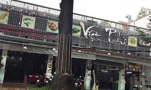 Bà chủ bí ẩn căn nhà 900 m2 giá 400 tỷ giữa trung tâm Sài Gòn