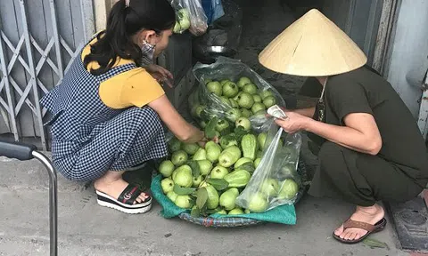 Bằng cách này, vợ chồng lão nông đều đặn thu 100 triệu đồng/tháng