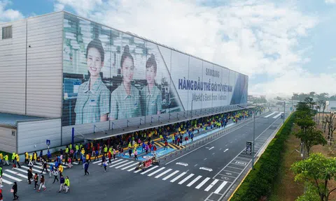 Công ty bán màn hình kinh doanh sa sút, doanh thu Samsung tại Việt Nam xuống mức thấp nhất trong vòng 1 năm