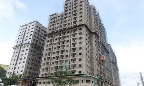 TP.HCM: Hàng loạt doanh nghiệp BĐS lớn nợ thuế bị "bêu tên"