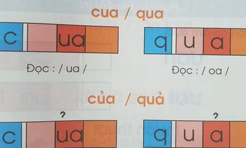 Đọc bài này, bạn sẽ trả lời được câu hỏi: "Vì sao Tiếng Việt đơn âm mà lại phải chia thành từng ô vuông làm gì cho phức tạp?"