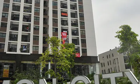 Địa ốc Hải Đăng: Đại gia mới nổi, lời đậm từ dự án Mon City, bị tố “ăn gian” diện tích căn hộ