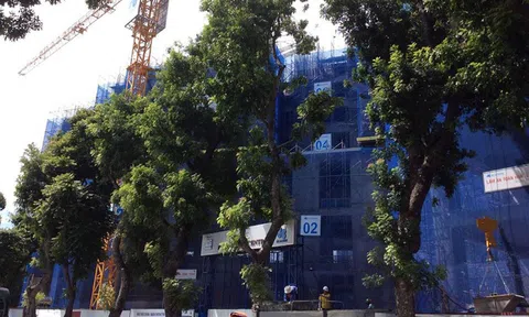 Lộ nhiều sai phạm ở dự án cao ốc nghìn tỷ giữa trung tâm Hà Nội, ông chủ đứng sau là ai?