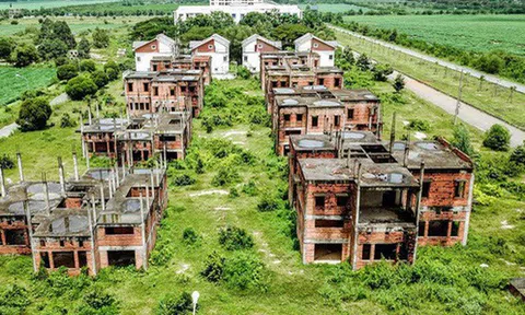 DIC Corp liên kết với Him Lam đầu tư khu đô thị gần 8.000 tỷ, quy mô 600ha tại Nhơn Trạch