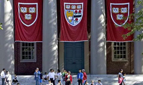 Đại học Harvard huy động được 9,6 tỷ USD trong một chiến dịch