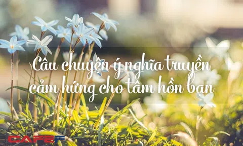 6 câu chuyện nhỏ khiến những ai đang uể oải nhận ra bản thân quá hững hờ với cuộc sống: Hạnh phúc, thành công không xa xôi, nó đến từ sự tin tưởng bên trong chính mỗi người