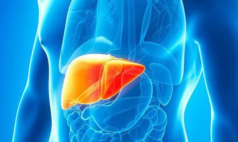 Gan khỏe tới đâu sống thọ tới đó: 8 bí quyết đơn giản và cần kíp để giải cứu gan ốm yếu