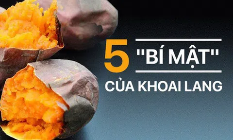 Khoai lang là "siêu" thực phẩm tuyệt vời: Đừng quên 5 lời khuyên quan trọng trước khi ăn